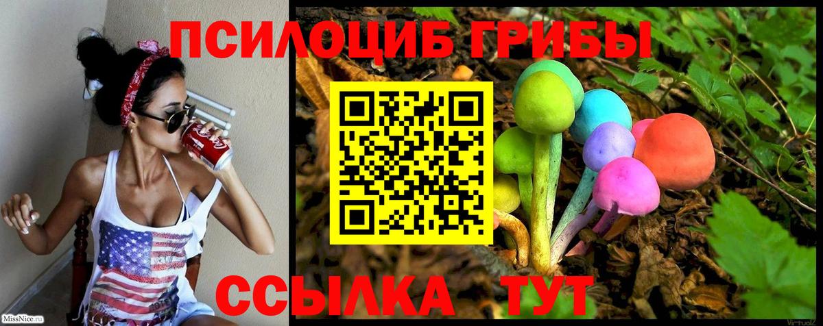 Камышлов  Галлюциногенные грибы прущие грибы  купить  цена  Псилоцибиновые грибы мицелий  Вход с VPN 